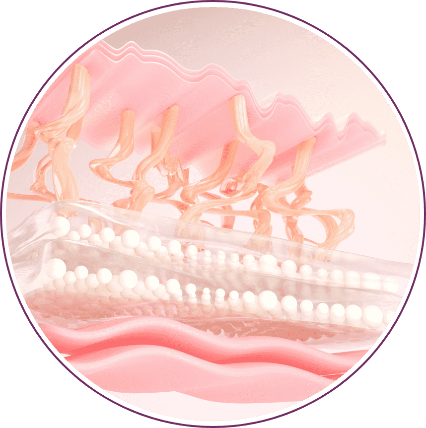 Illustration of elastin and collagen fibers within a skin layer