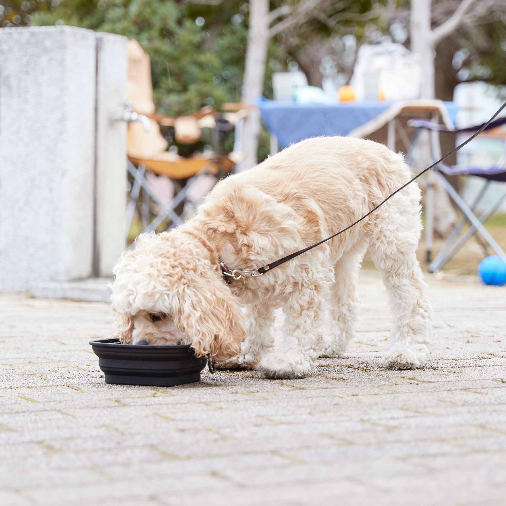 Outdoor Essentials for Picnic Season