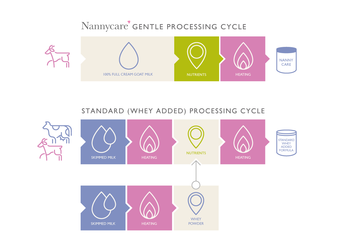 Nannycare goat milk processing vs whey adjusted formula processing