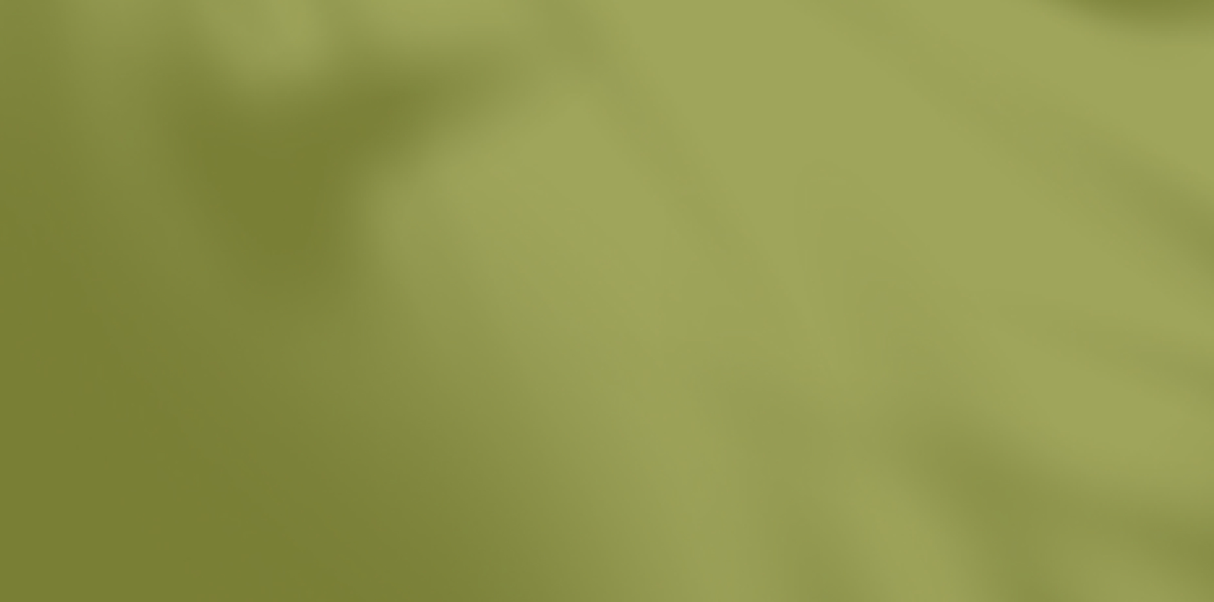 Catalina Manuel product background