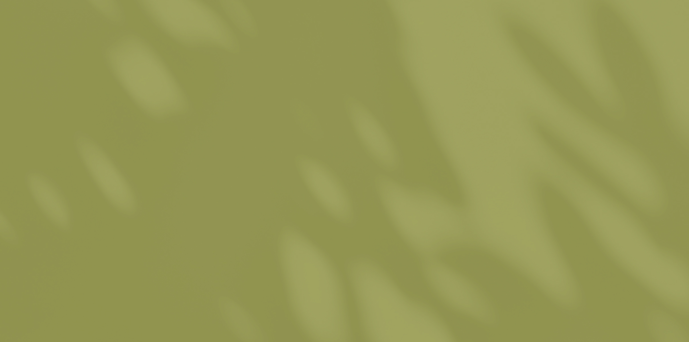Catalina Manuel product background