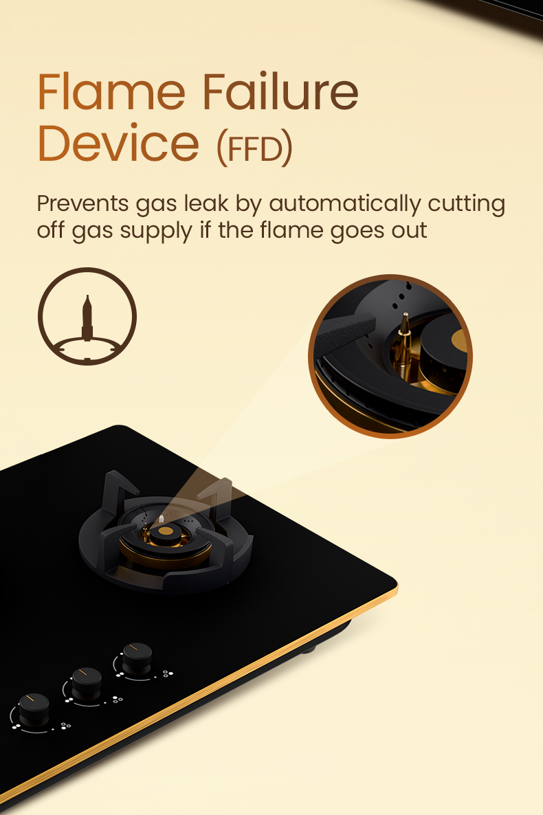 Flame Failure Device