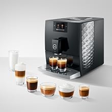 Light Brew - Mild, Aromatic, Ready to Sip