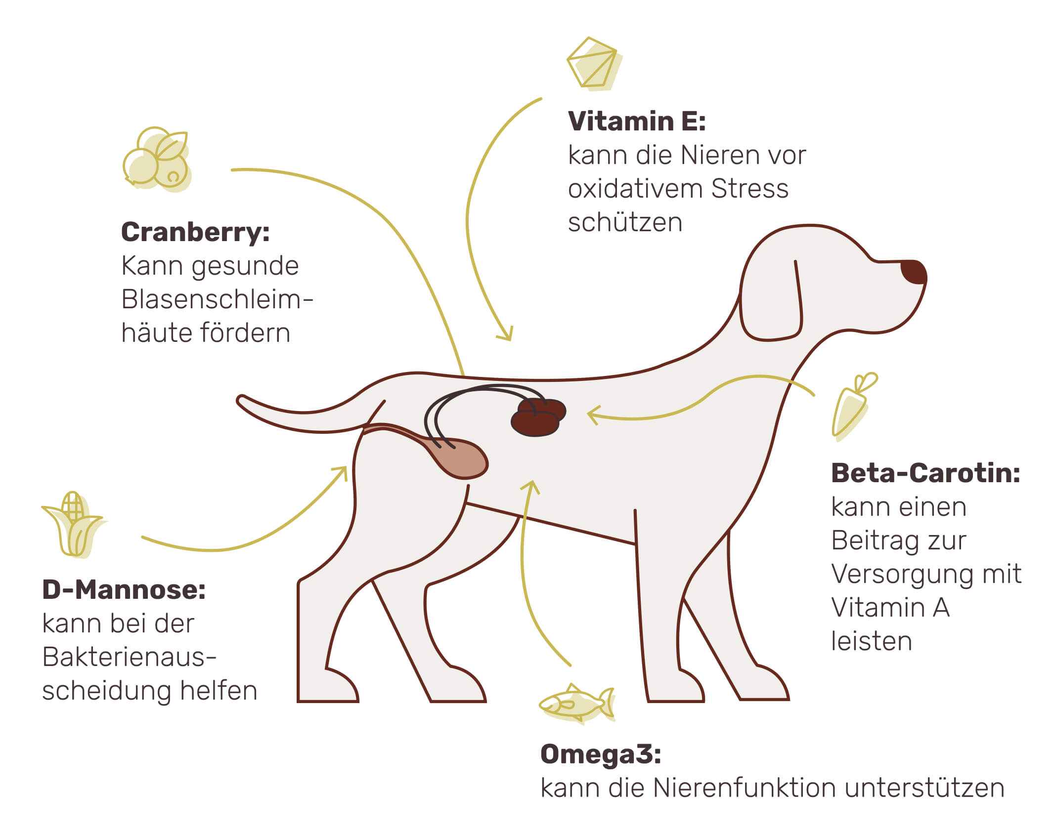 So funktioniert es