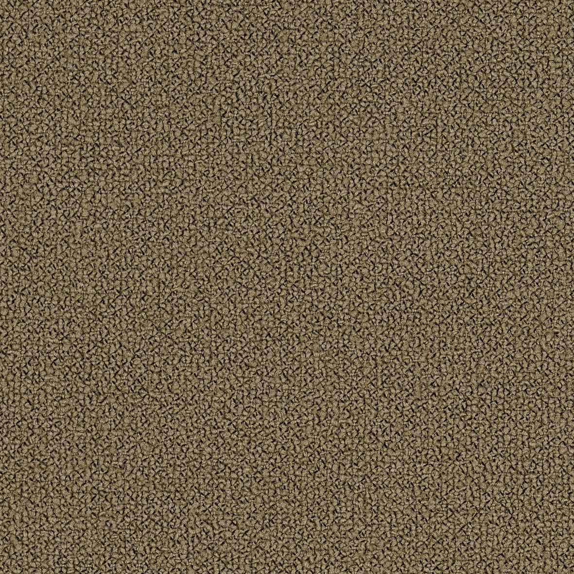 Greige-Grain 61230