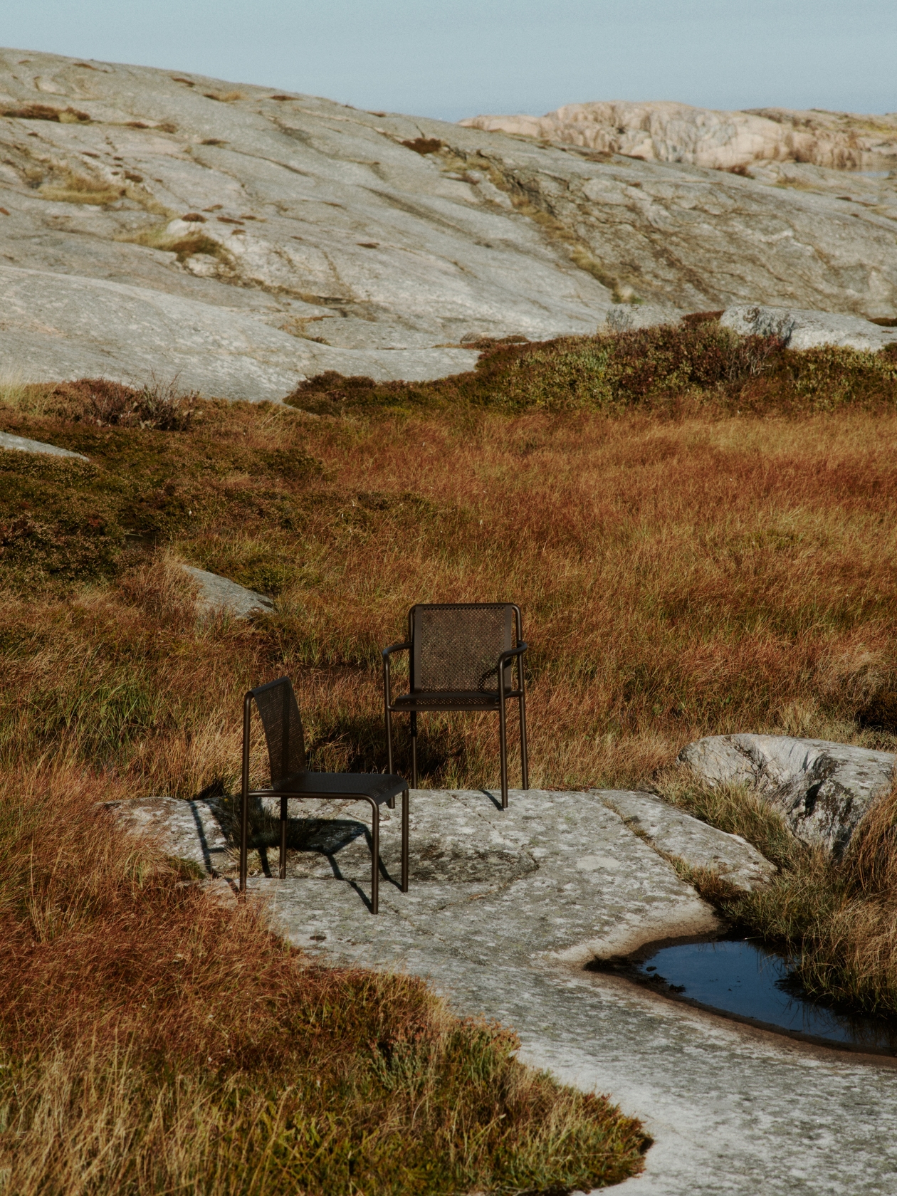 Dapple Chair with Arms
