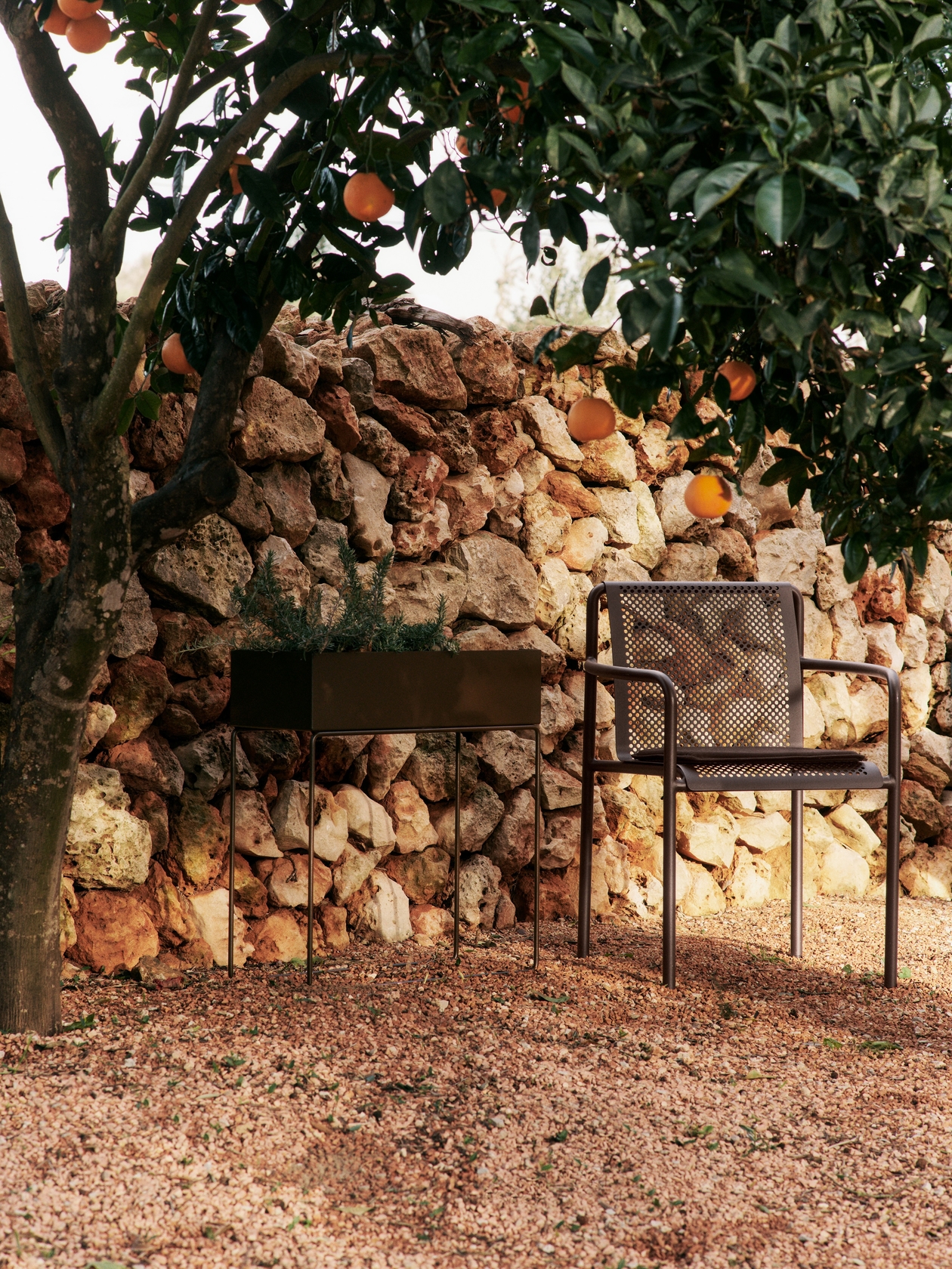 Dapple Chair with Arms