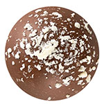 Milk Ginerbread Cookie Truffles (2)