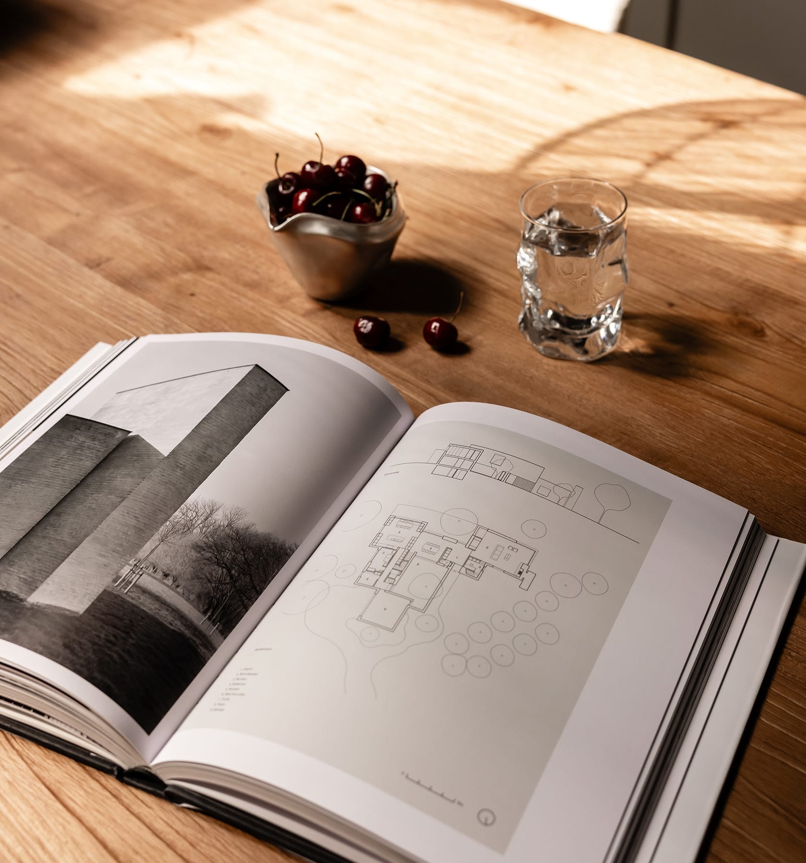 dBodhi Linea Dining Table