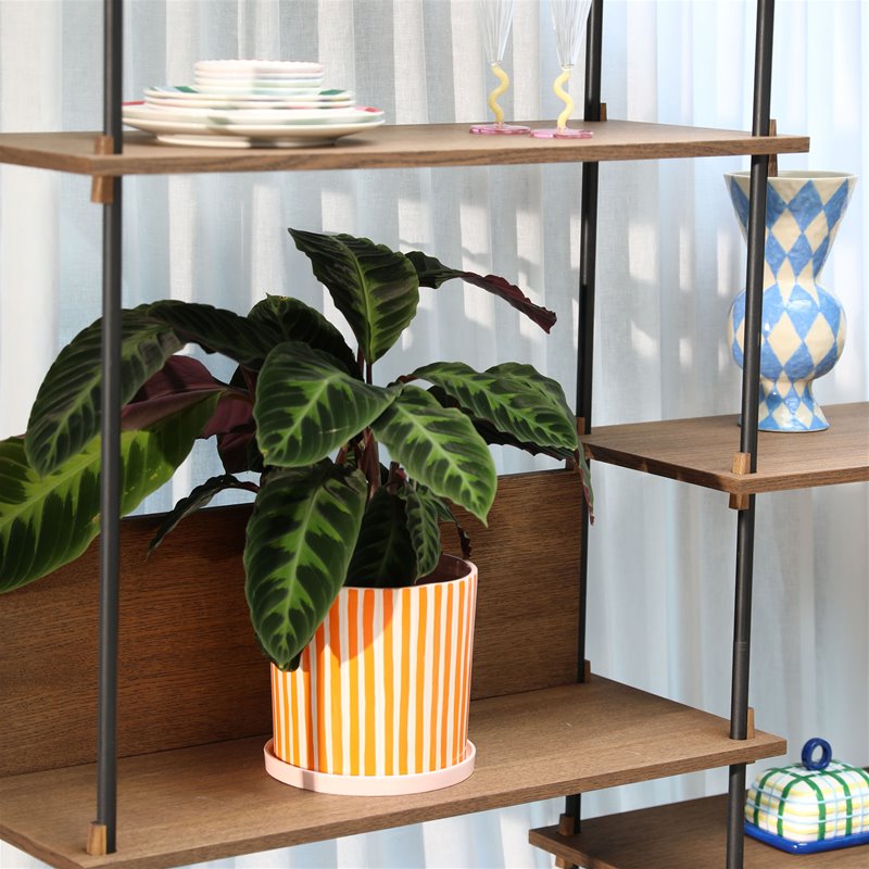 Ray Planter - Orange