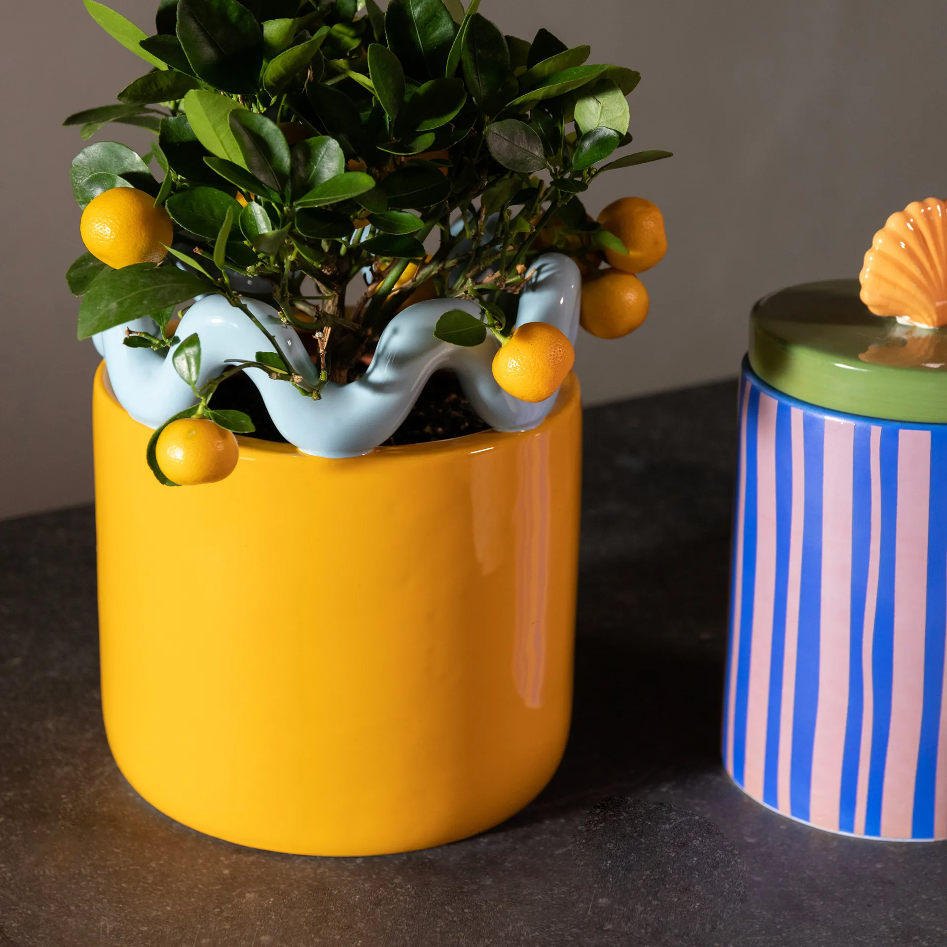 Sway Planter