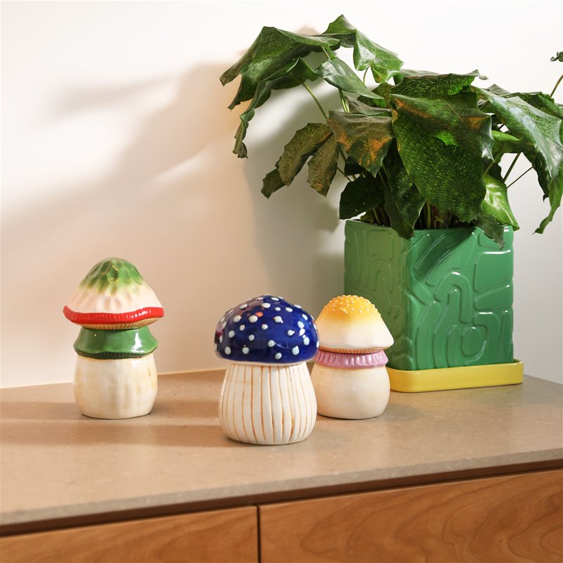 Magic Medium Mushroom Jar