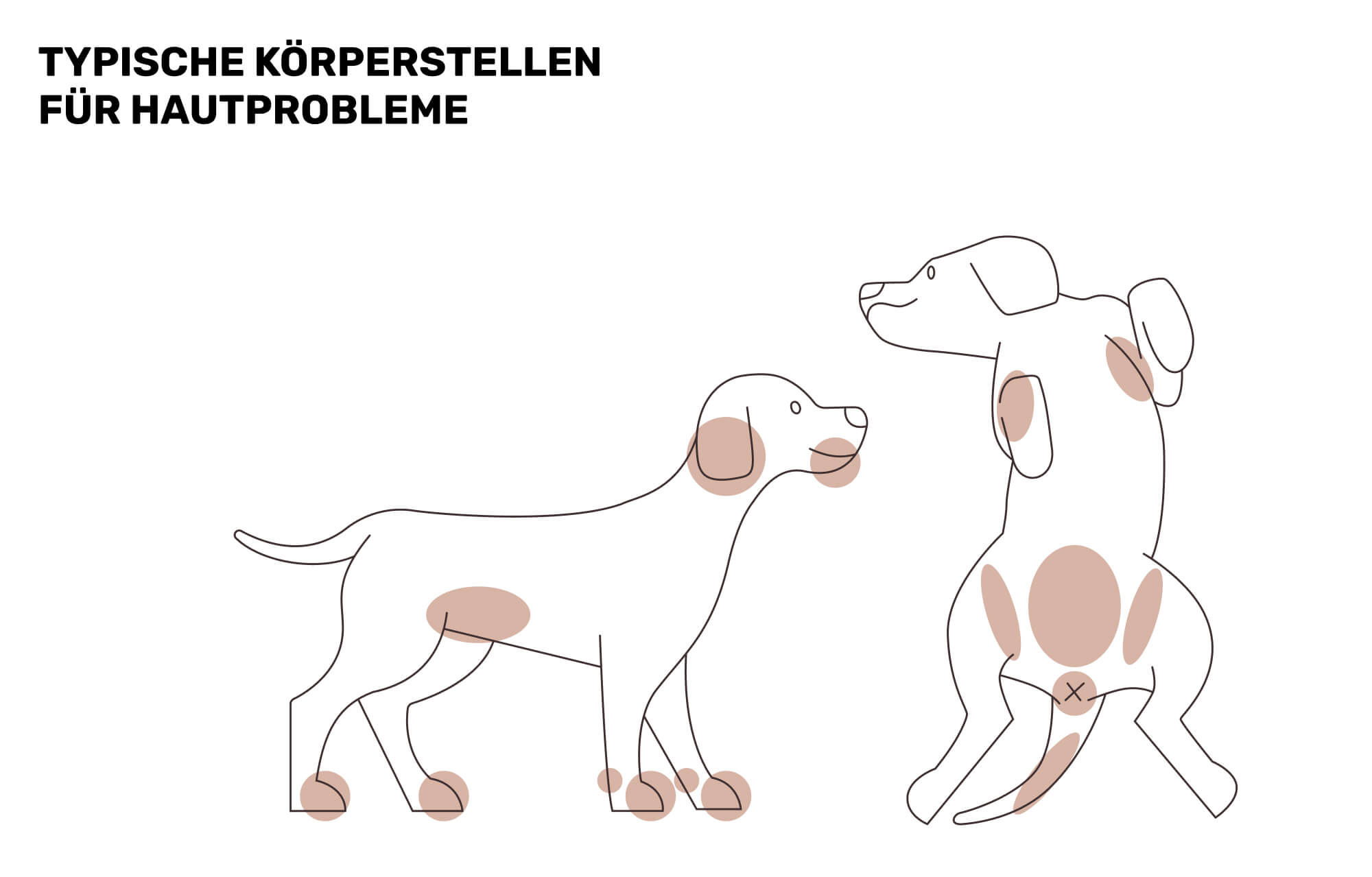 So funktioniert es