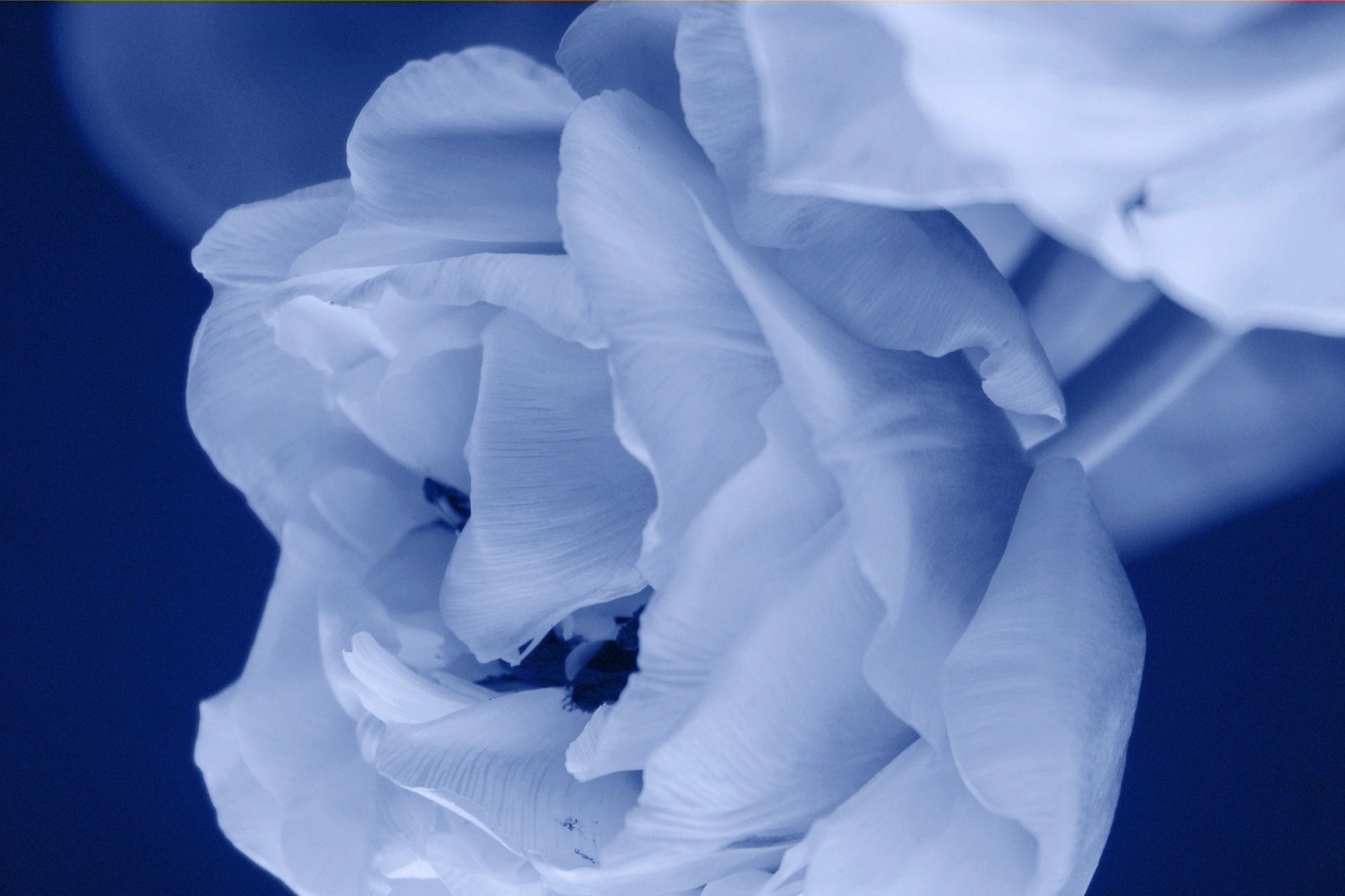 Luna product background