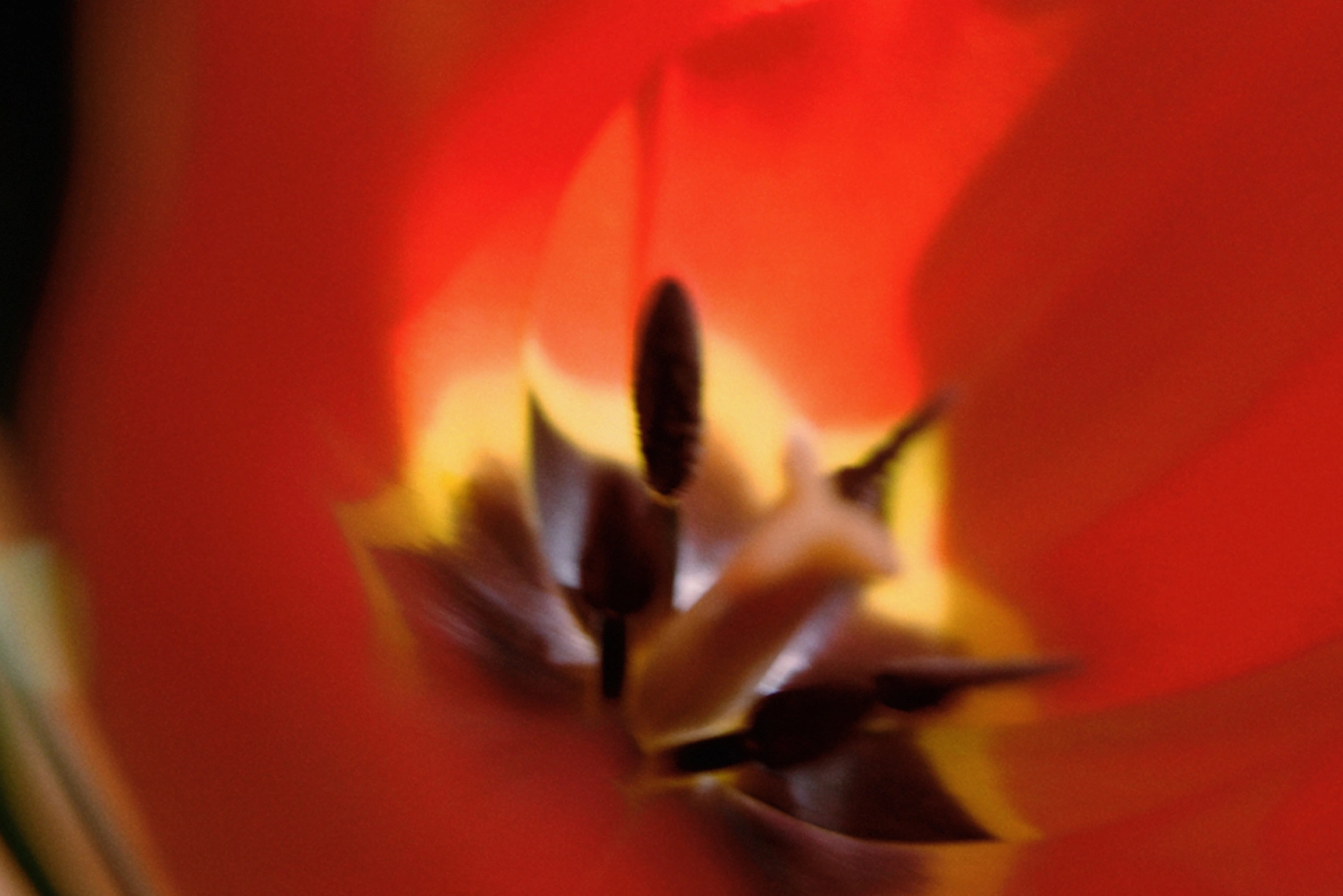 Terra product background