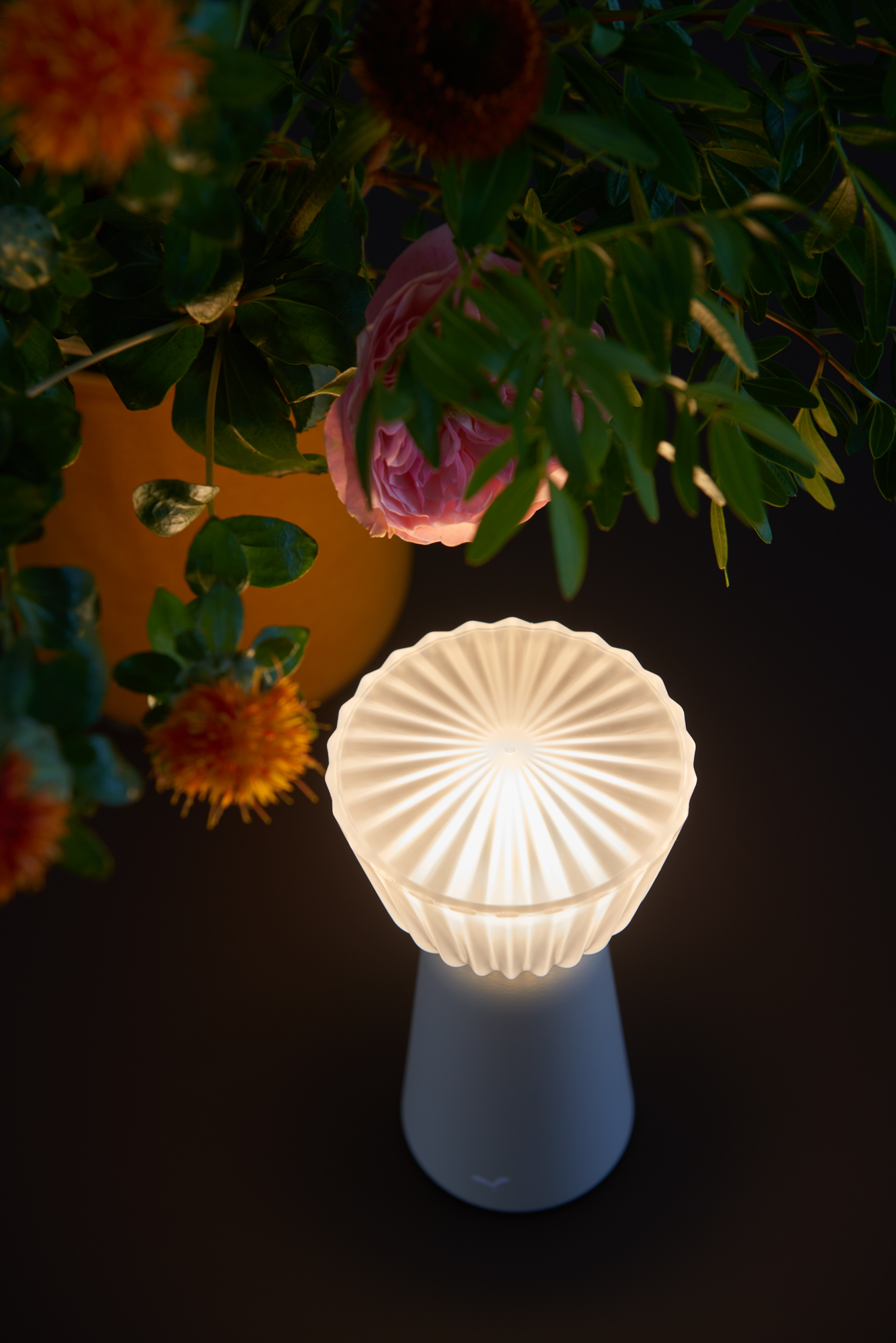 Fermob Swiing Table Lamp