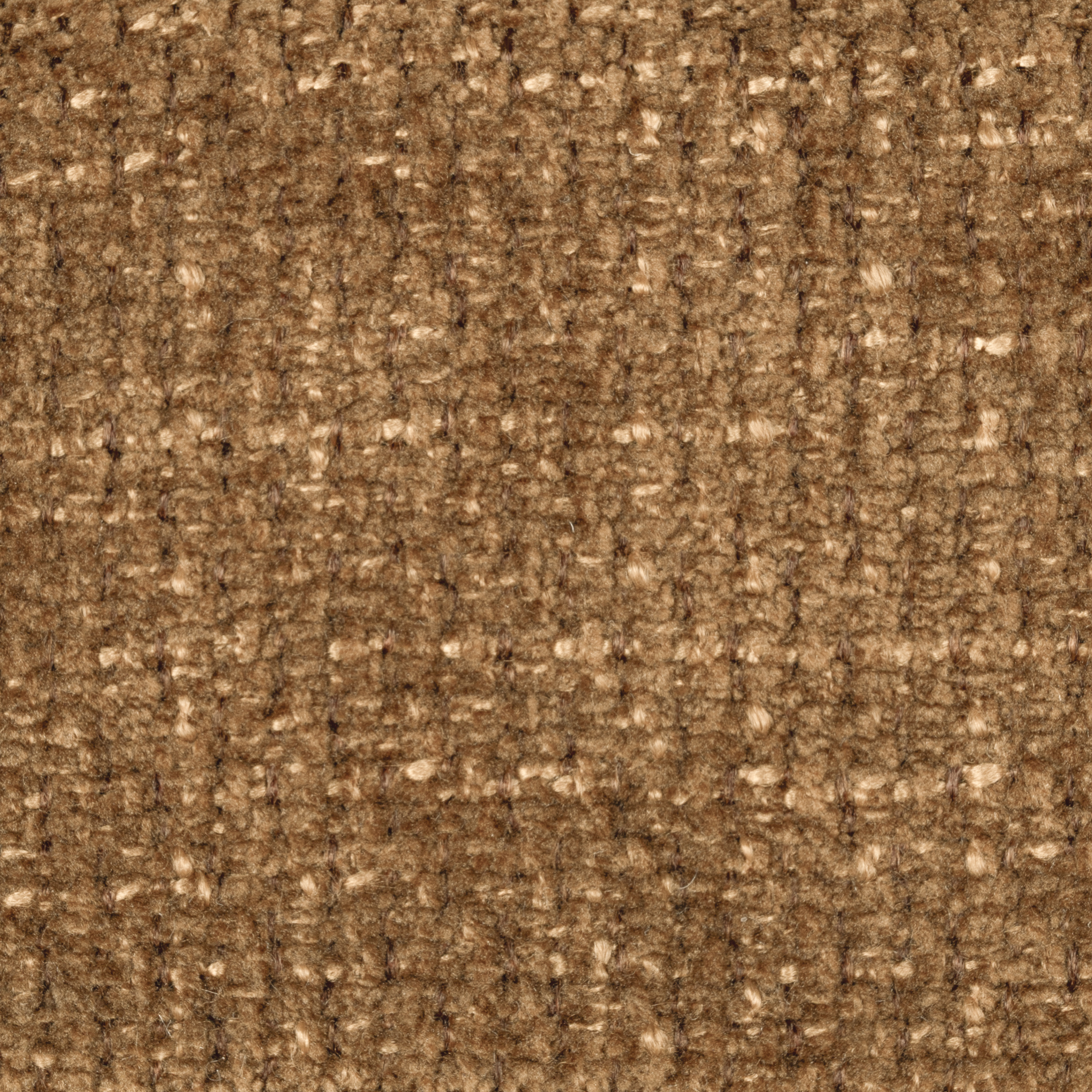 Fenugreek