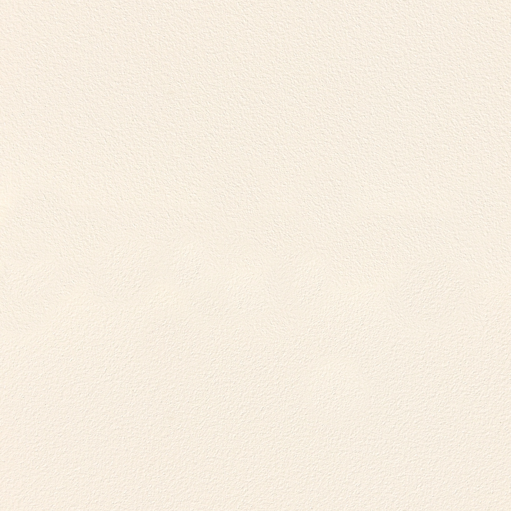 Cream White