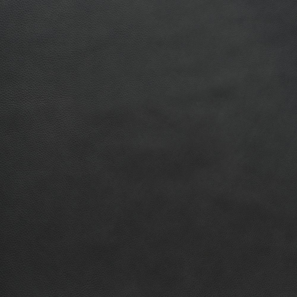 Charcoal-Alabama 007