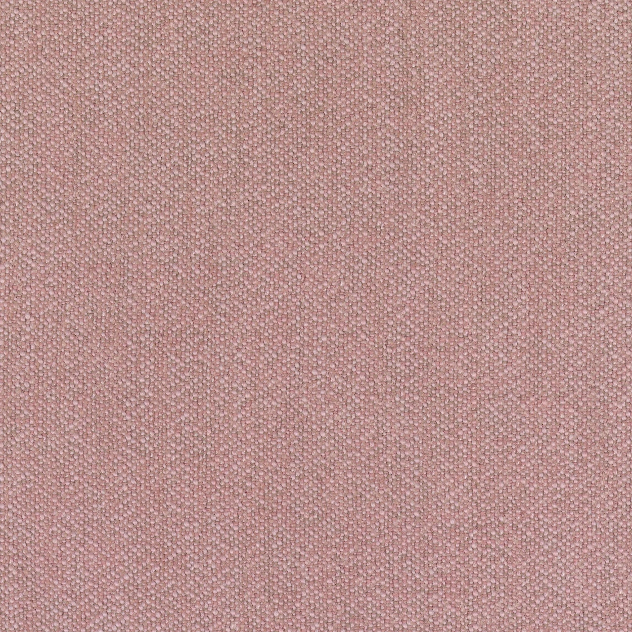 Dusty Rose-Ecriture 0640