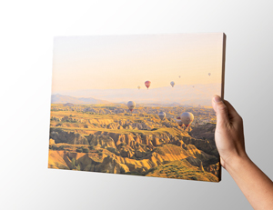Premium Wrapped Canvas