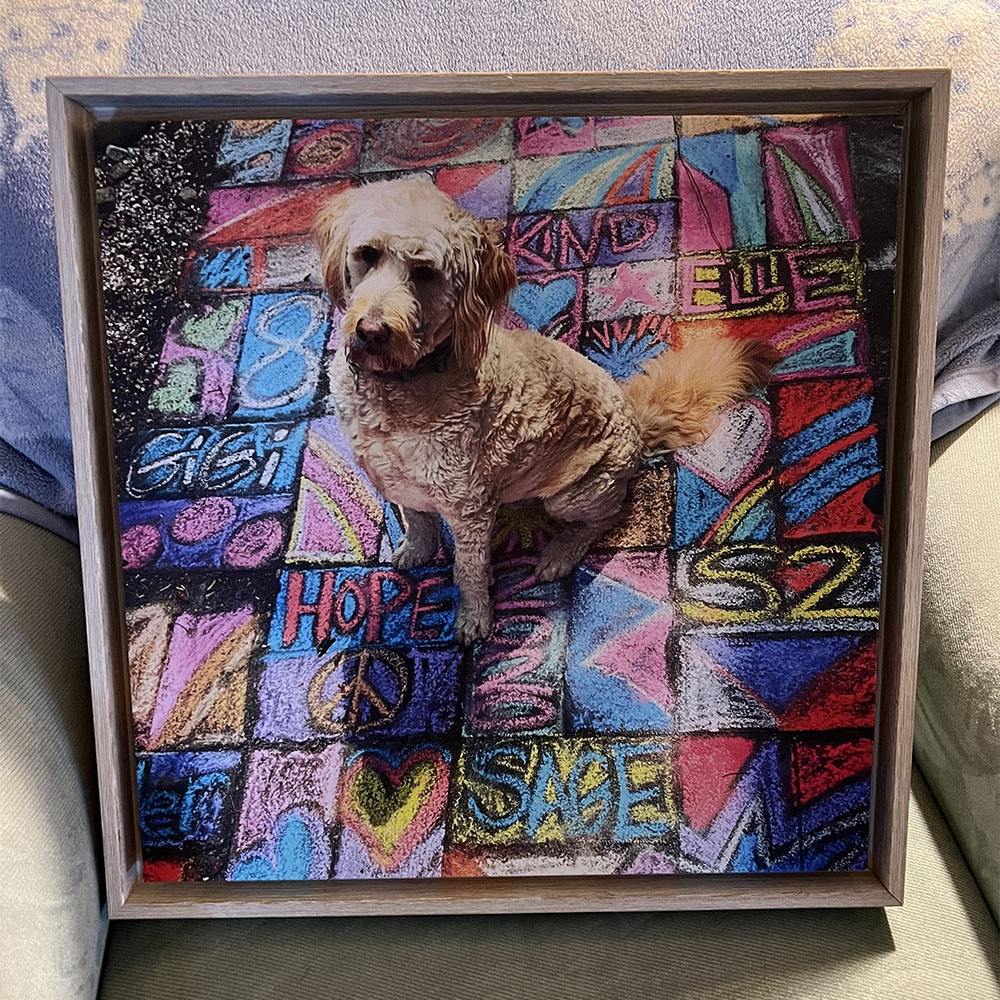 HD Framed Canvas Wrap Print