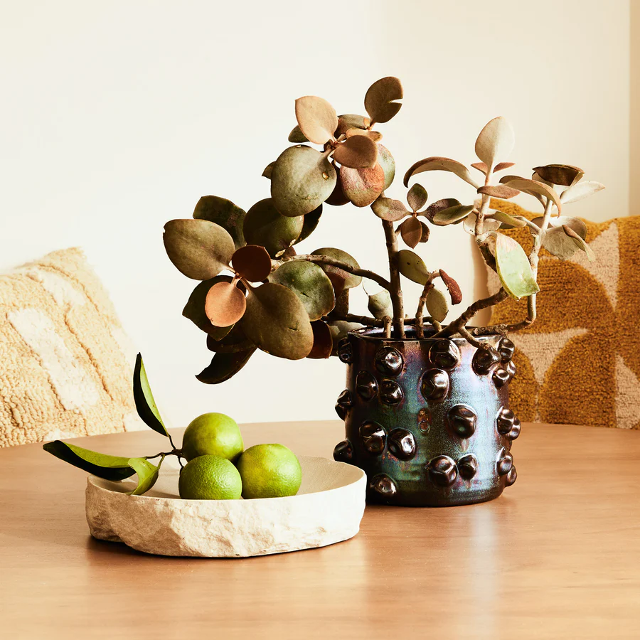 Chlora Pot