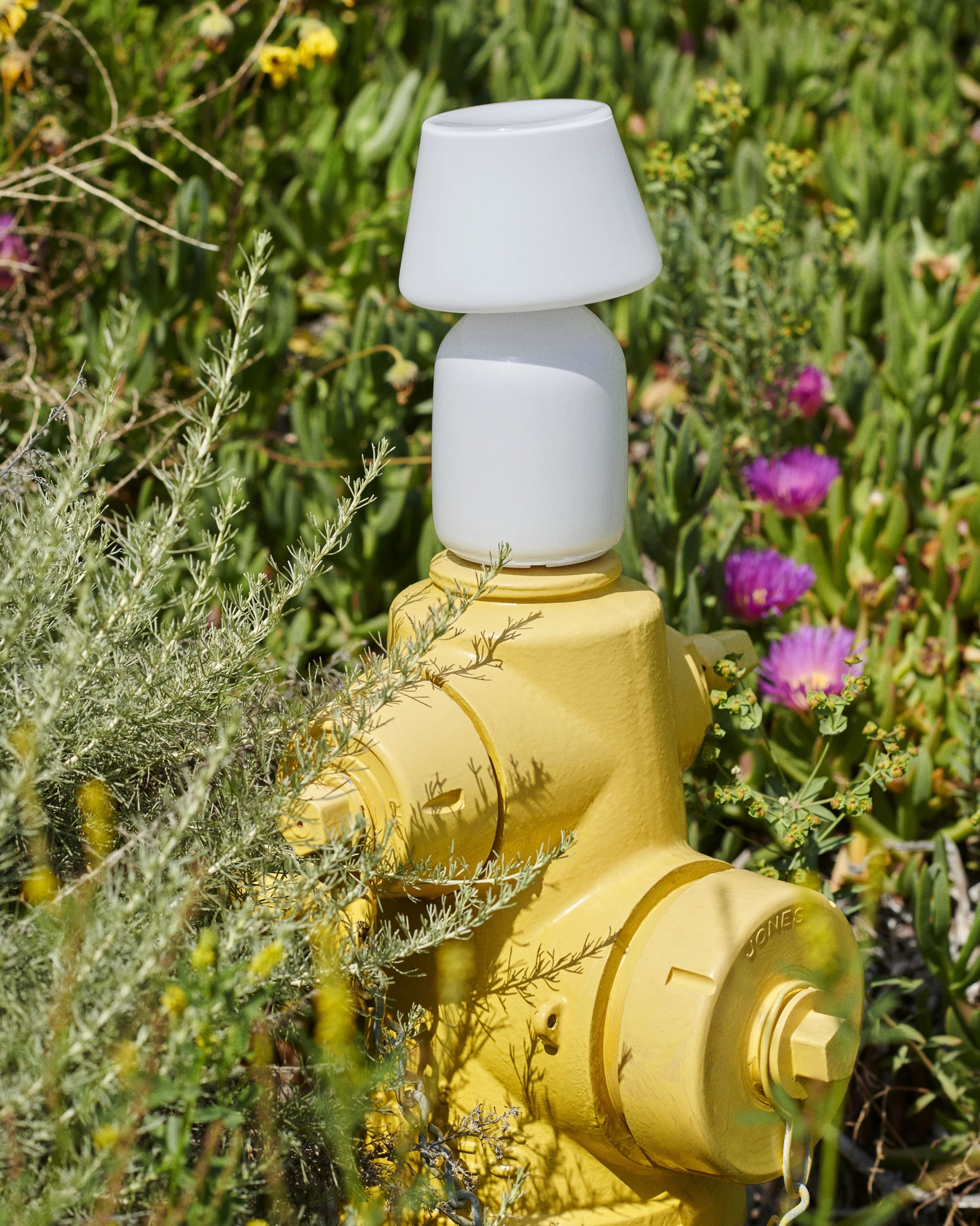 Apollo Portable Lamp