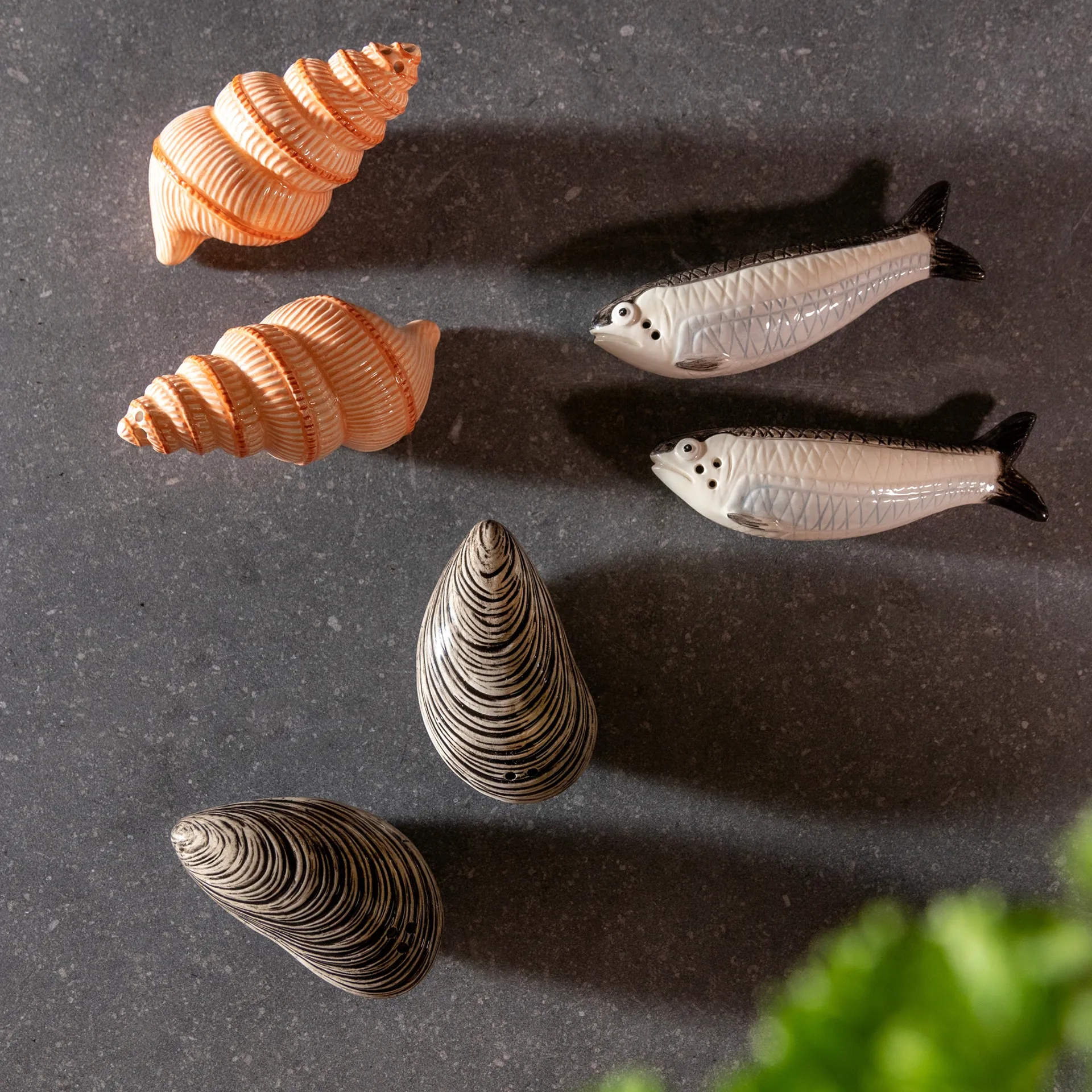 Salt & Pepper - Mussel