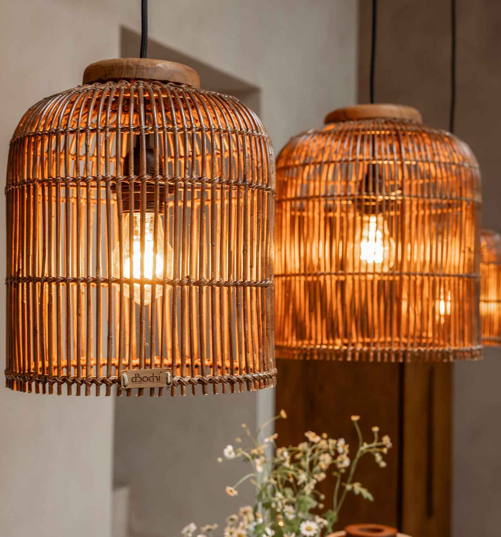 dBodhi Aura Bold Hanging Lamp