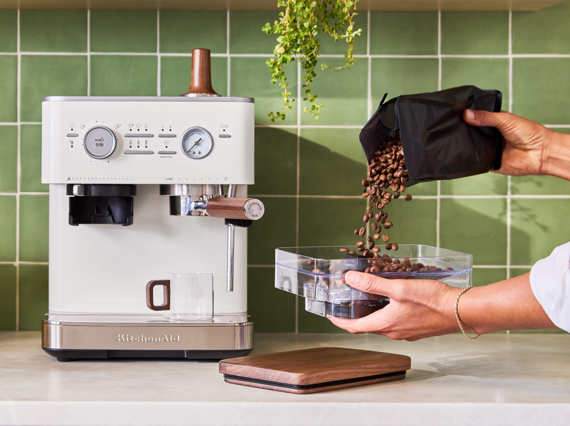 Bean Exploration Made Simple