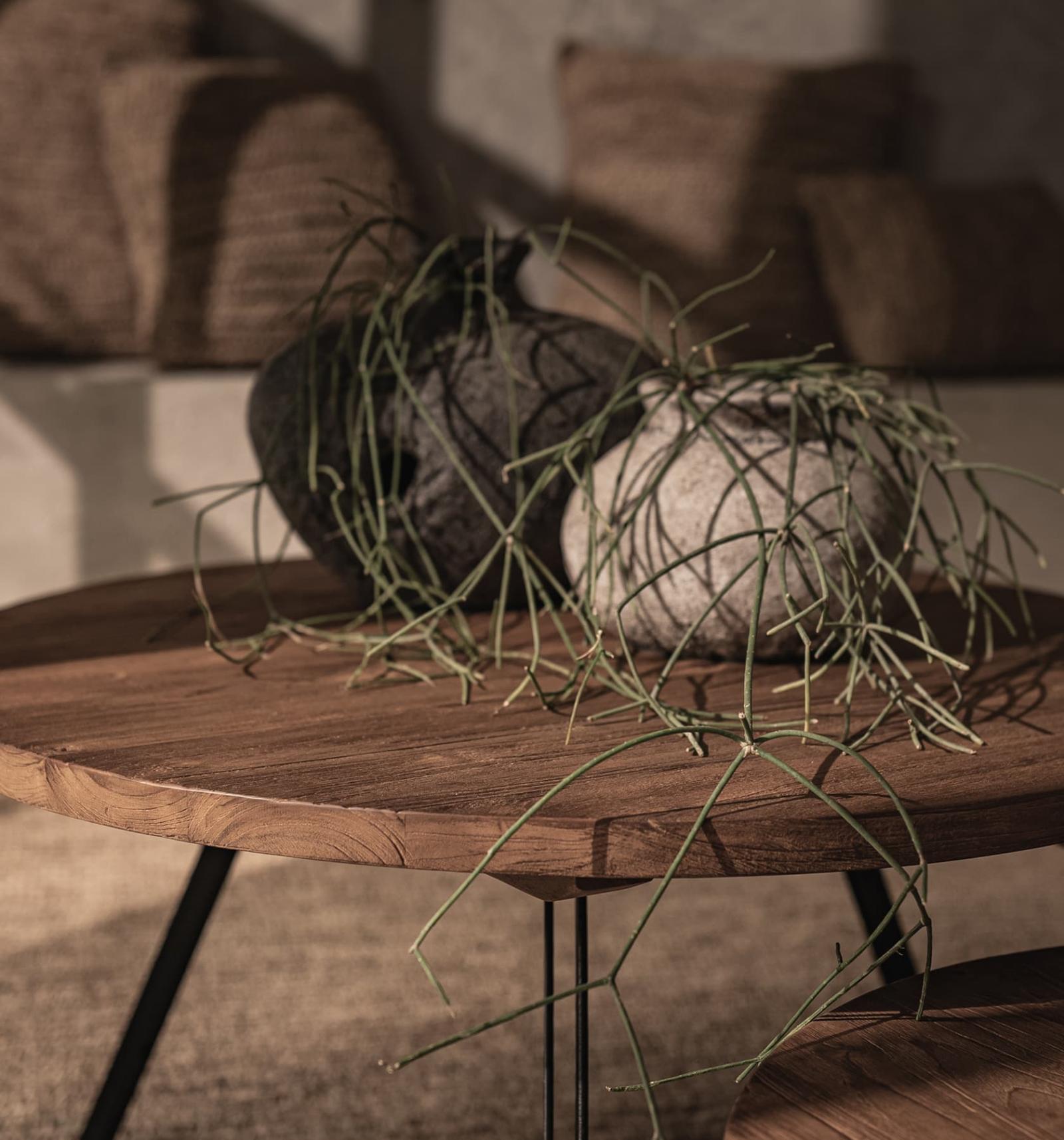 dBodhi Cabrini Coffee Table - 550mm - Teak - Floor Stock