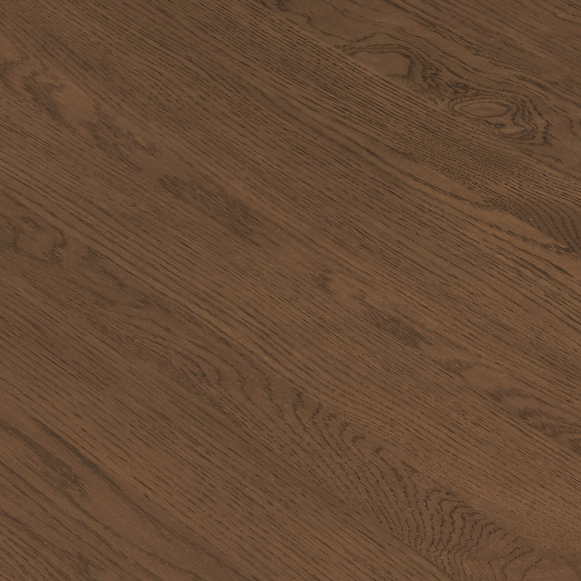 Latte Oak