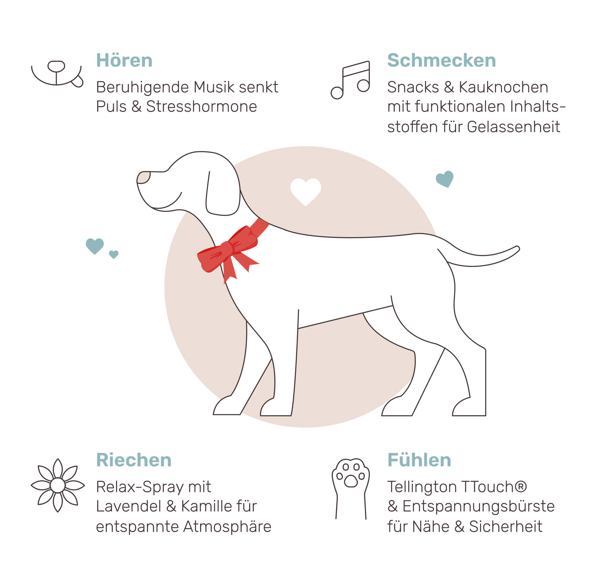 So funktioniert es