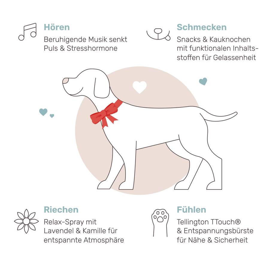 So funktioniert es
