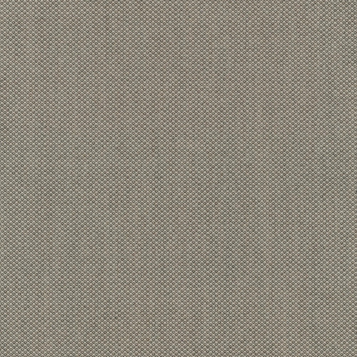 Taupe-Fiord 262
