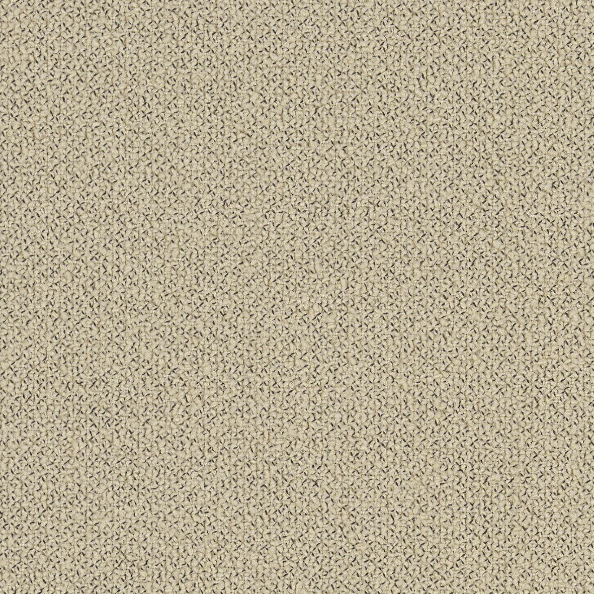 Ivory-Grain 61252