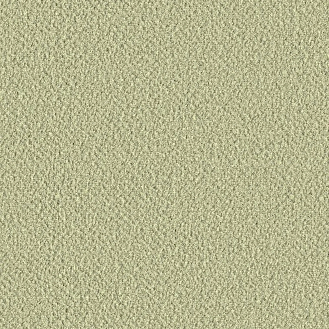 Willow-Saxion 0927