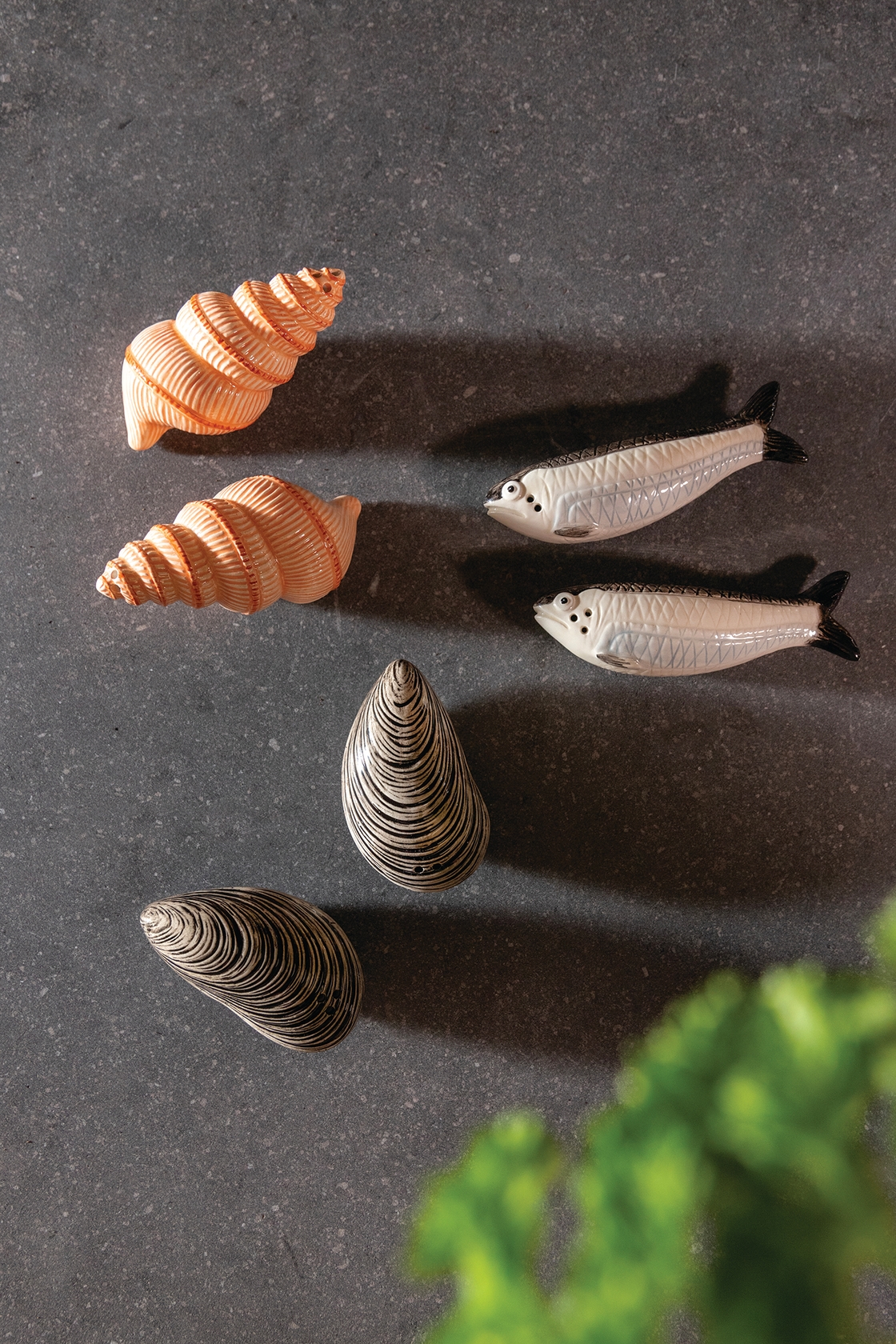 Salt & Pepper - Sardine