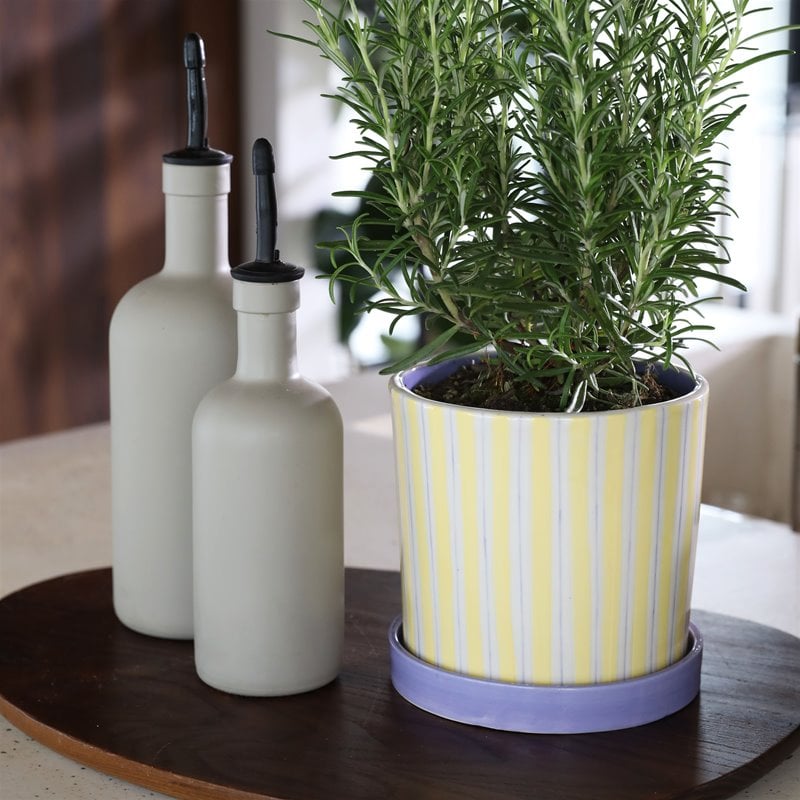 Ray Planter - Medium