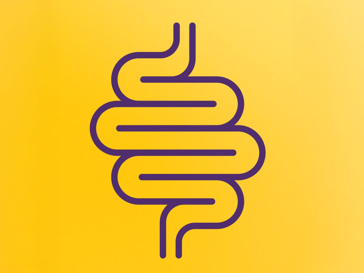 Learn About Gut Health