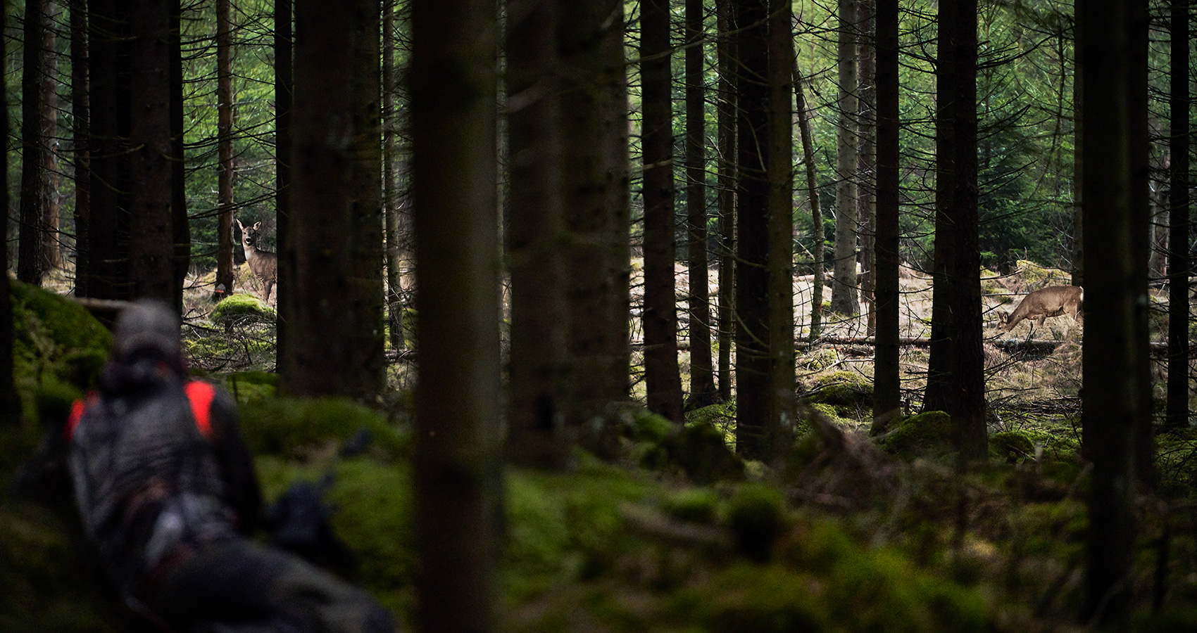 Story video poster image