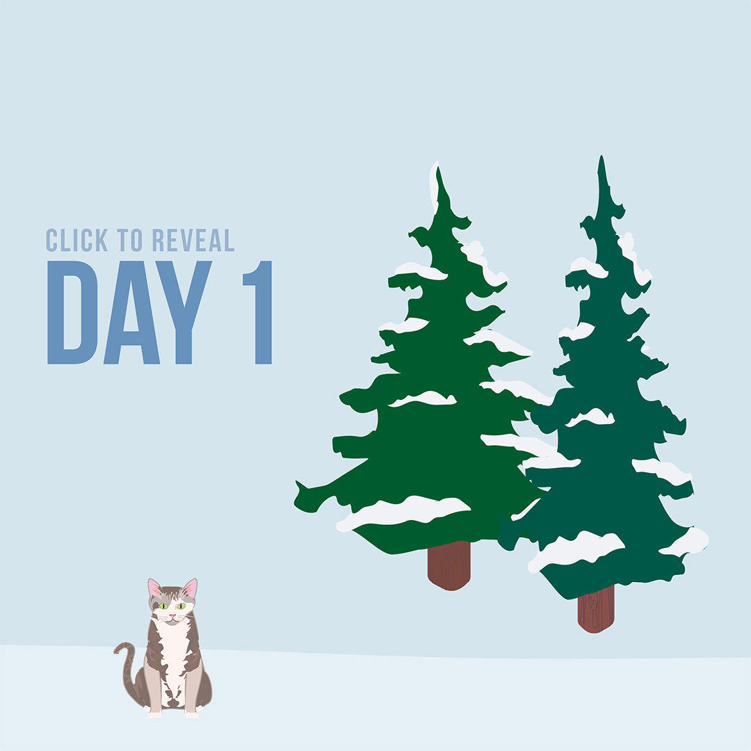 CLICK TO REVEAL DAY 1