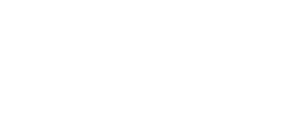 Silver Partner logo