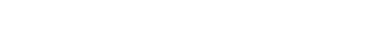 Supporting Partner logo