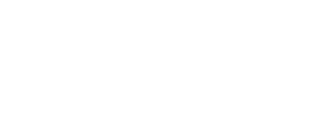 Gold Partner logo