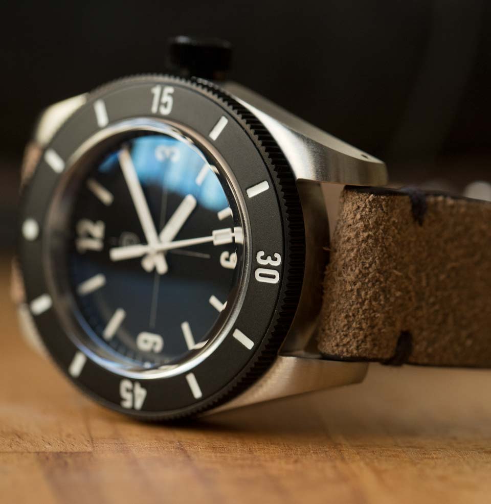 Trekker LE DLC Bezel and Crown