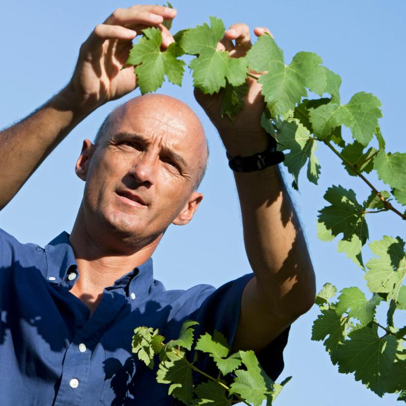 Domaine des Sénéchaux