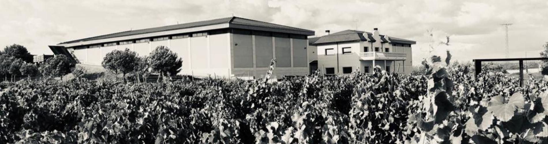 Monte Acuro Tempranillo