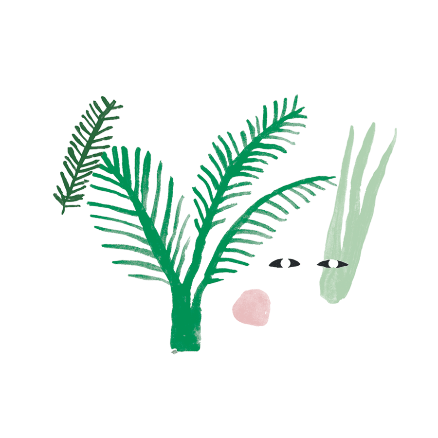 Our Planet